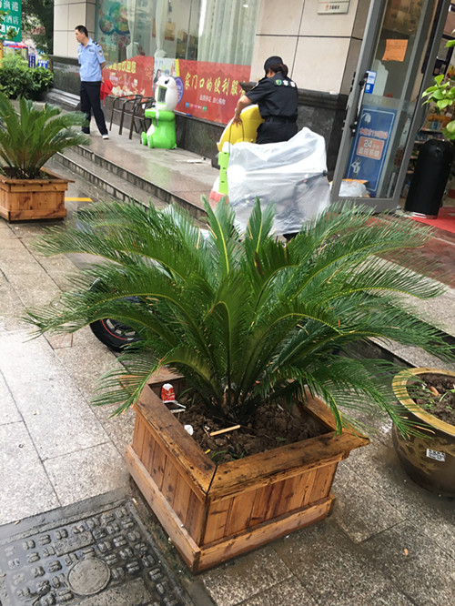微信图片_20180702150441_副本.jpg